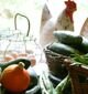 An Introduction to Sustainable Living An Introduction to Sustainable Living